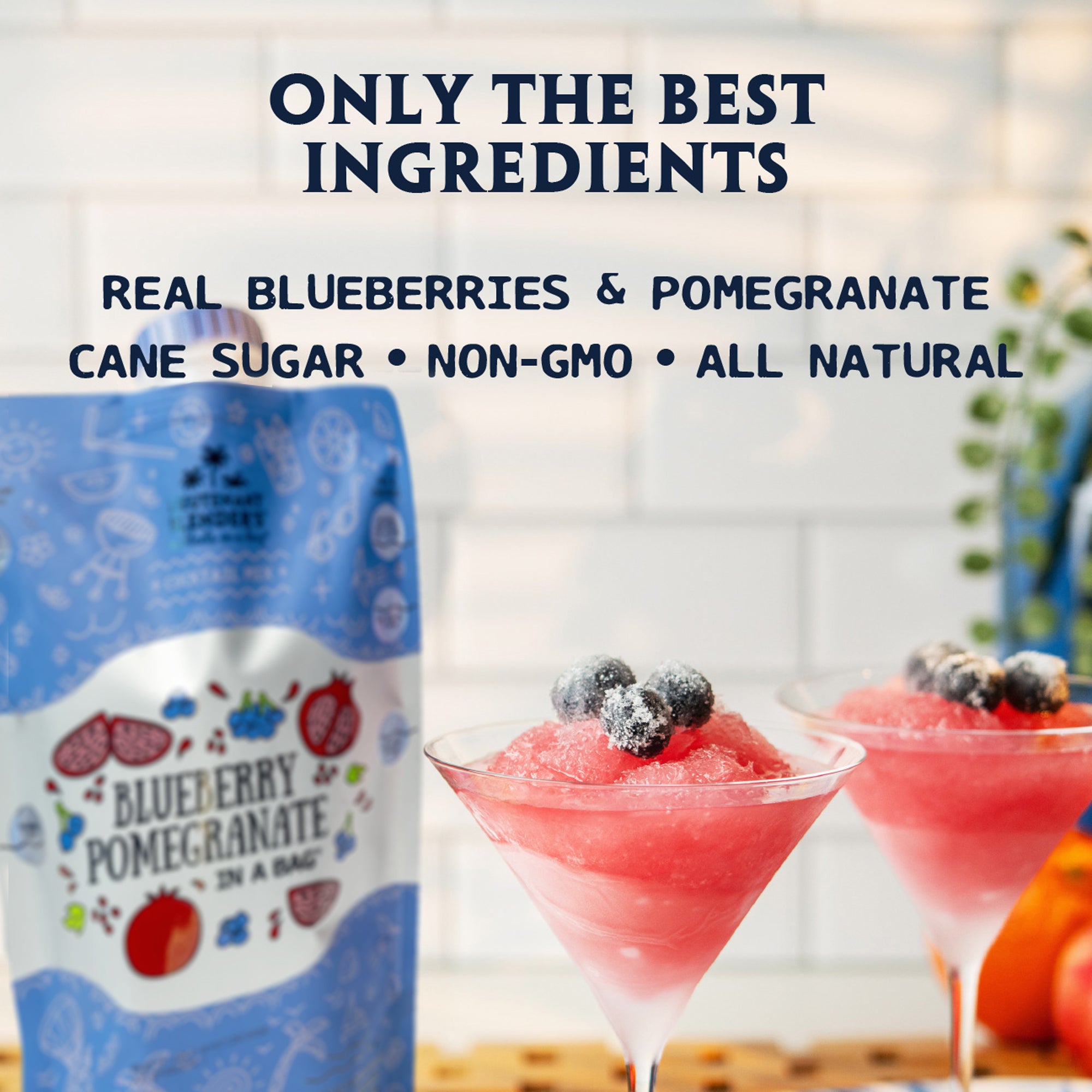 Blueberry Pomegranate in a Bag